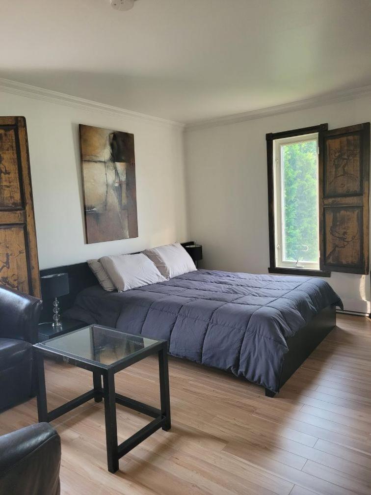 Le Petit Manoir Spa Et Vue Sur Riviere St Maurice Grandes Piles Exteriör bild